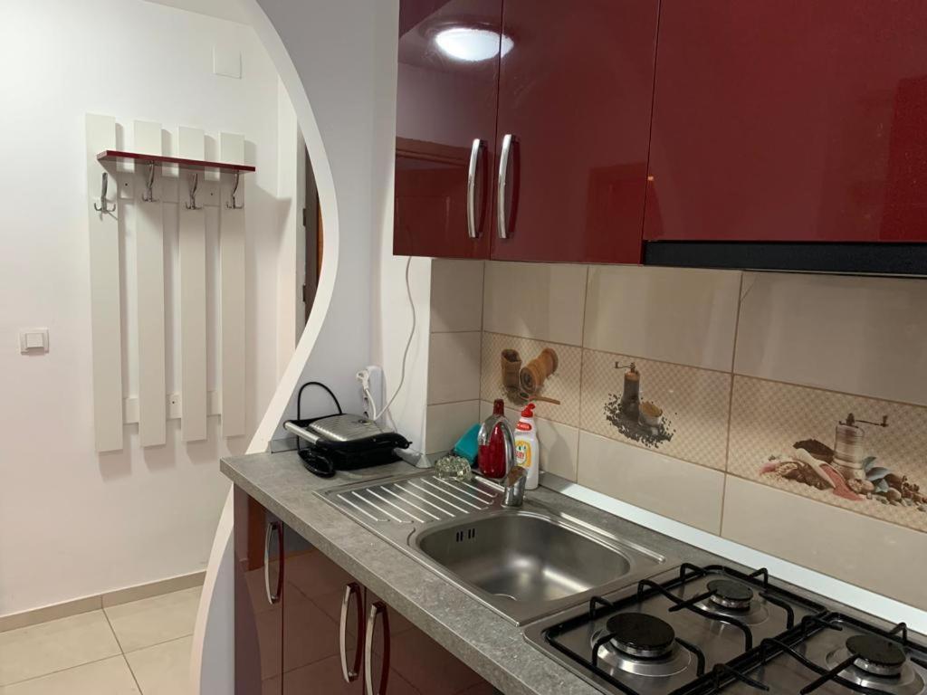 Appartamento Garsoniera Natalia Sibiu Esterno foto