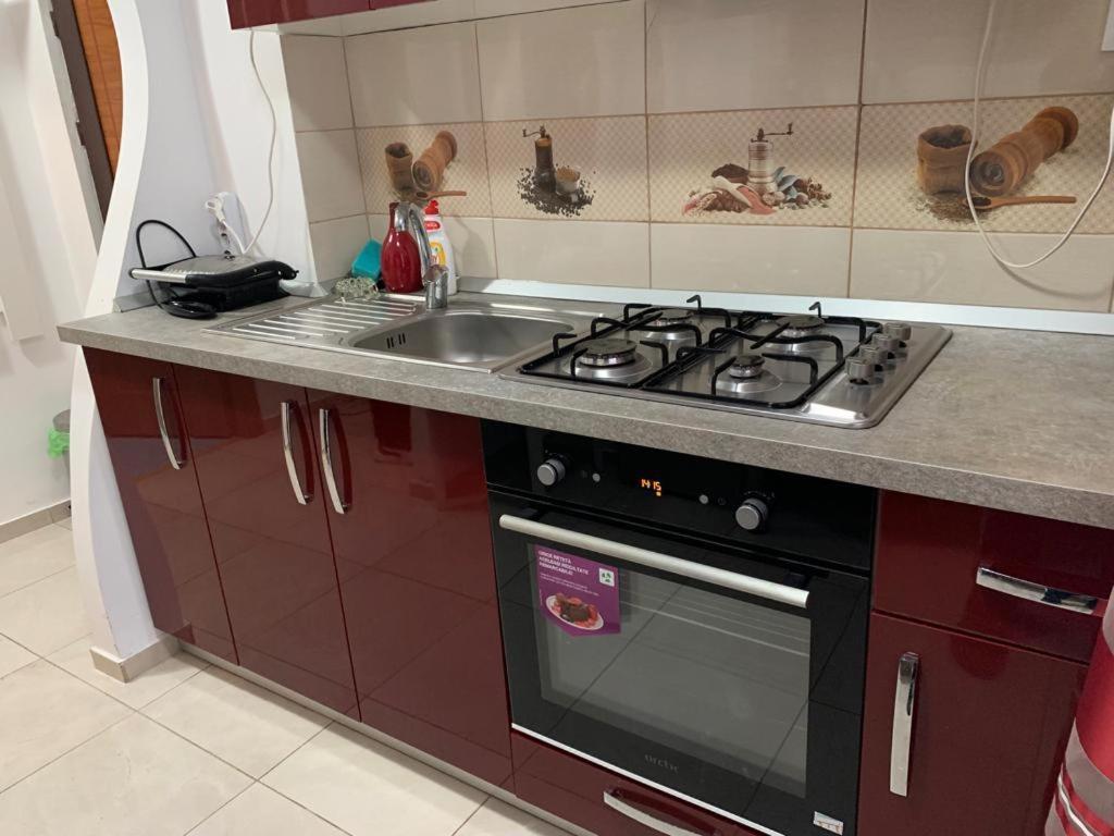 Appartamento Garsoniera Natalia Sibiu Esterno foto