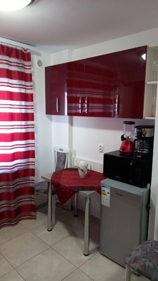 Appartamento Garsoniera Natalia Sibiu Esterno foto